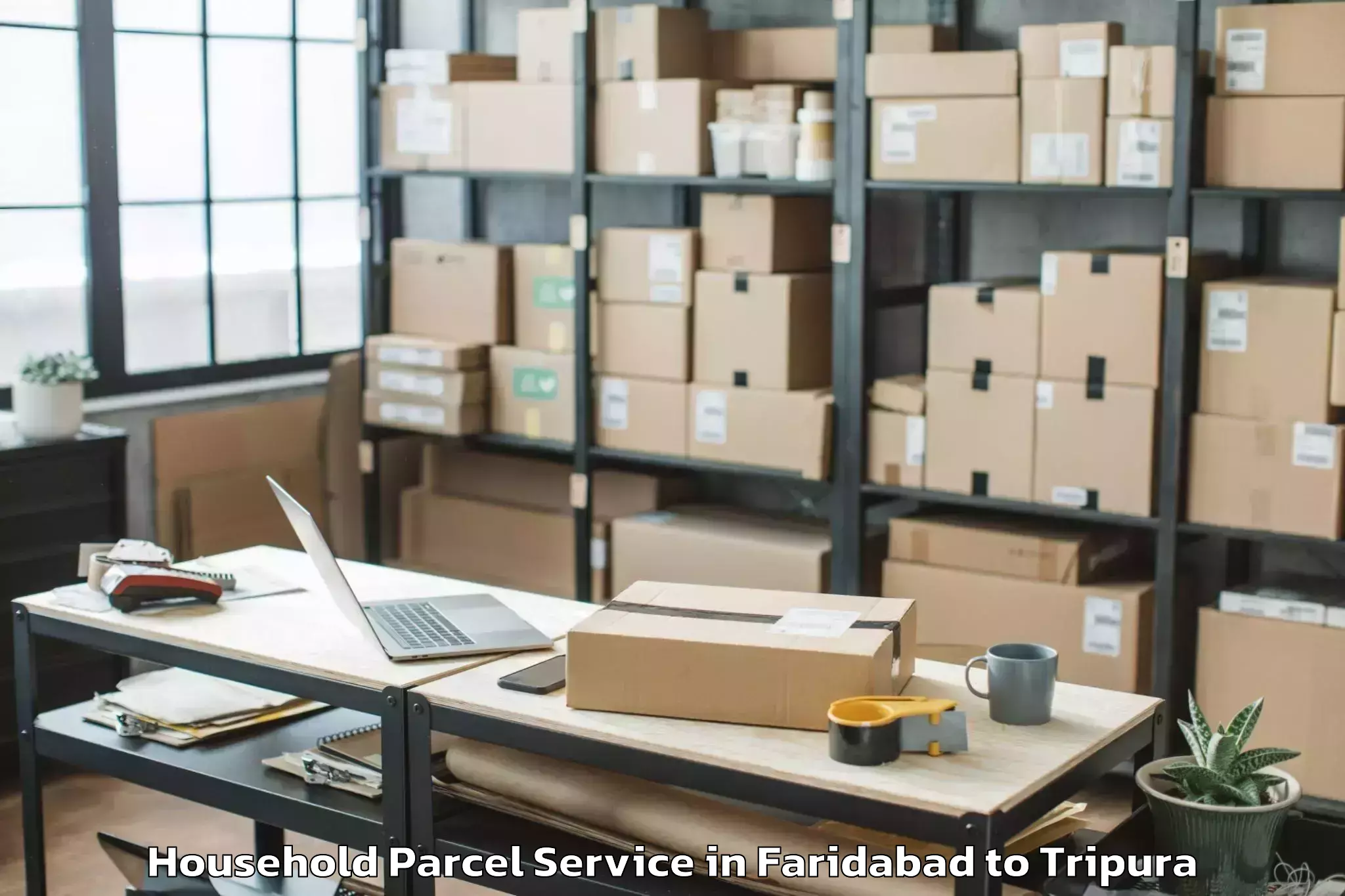 Efficient Faridabad to Aambasa Household Parcel